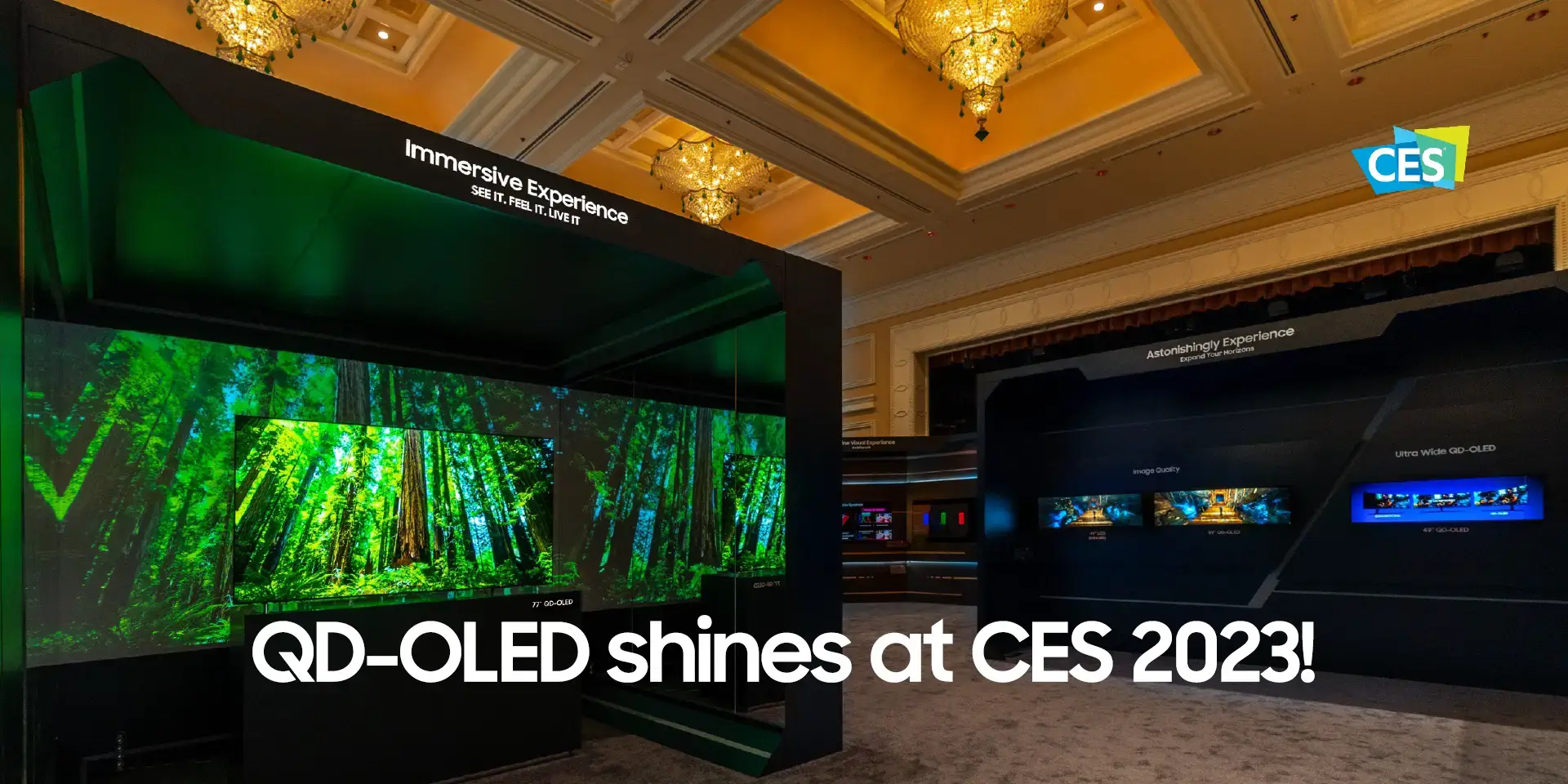 QD-OLED shines at CES 2023